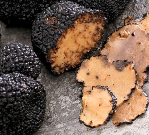 Tartufo nero Roddino